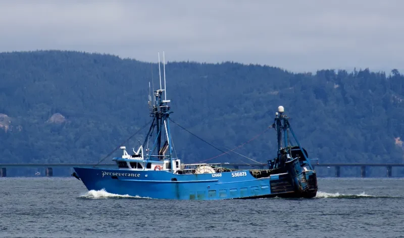 PERSEVERANCE General Cargo IMO 7230800