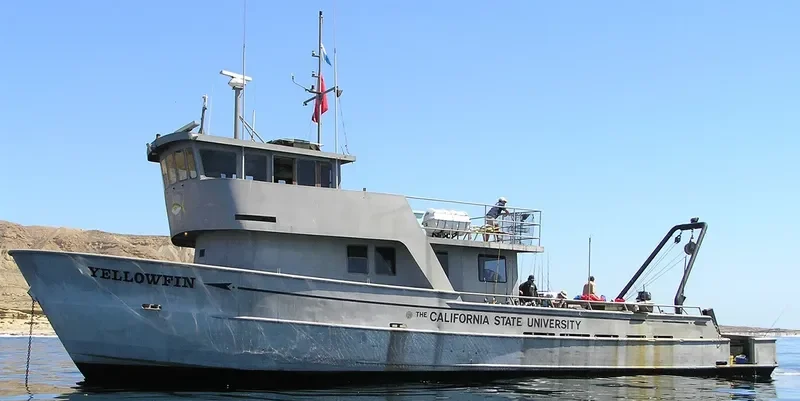 YELLOWFIN General Cargo IMO 7230898 photo 2