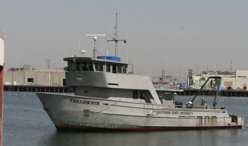 YELLOWFIN General Cargo IMO 7230898 photo 3