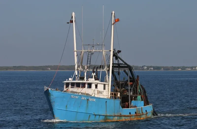 NEW SEA ROVER Fishing Vessel IMO 7230965 photo 5