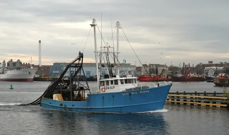 NEW SEA ROVER Fishing Vessel IMO 7230965 photo 8