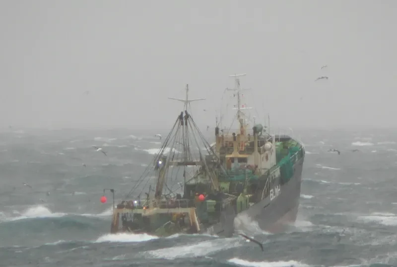 HAYSIMOTWO General Cargo IMO 7231684