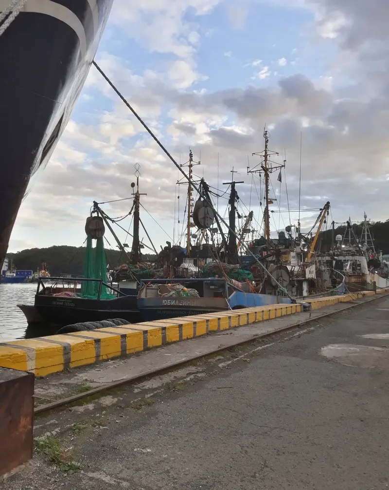 YBILEYNYY General Cargo IMO 7232042 photo 4