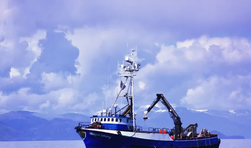 ROYAL VIKING General Cargo IMO 7232614