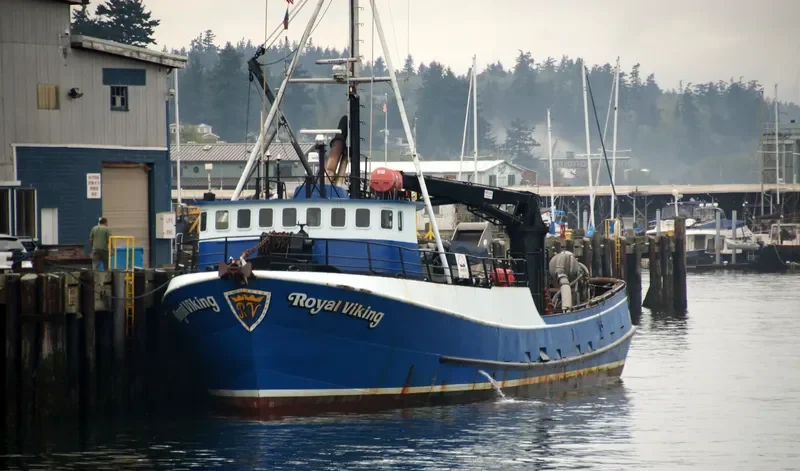 ROYAL VIKING General Cargo IMO 7232614 photo 3