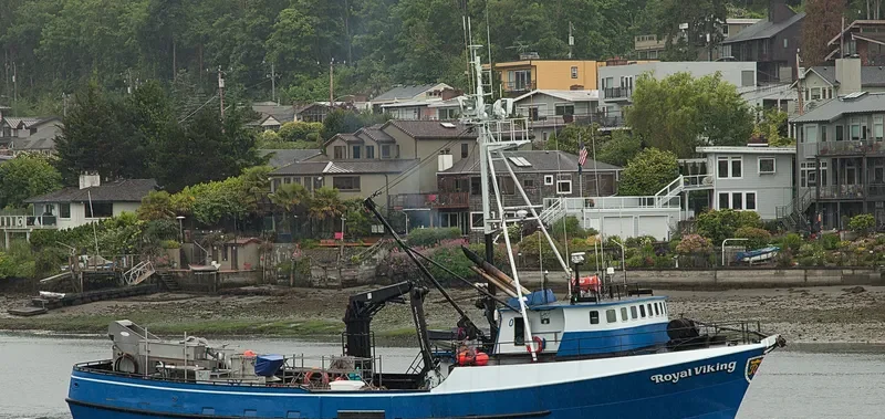 ROYAL VIKING General Cargo IMO 7232614 photo 5