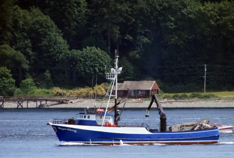 ROYAL VIKING General Cargo IMO 7232614 photo 6