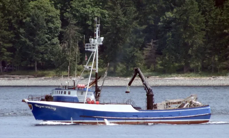 ROYAL VIKING General Cargo IMO 7232614 photo 7