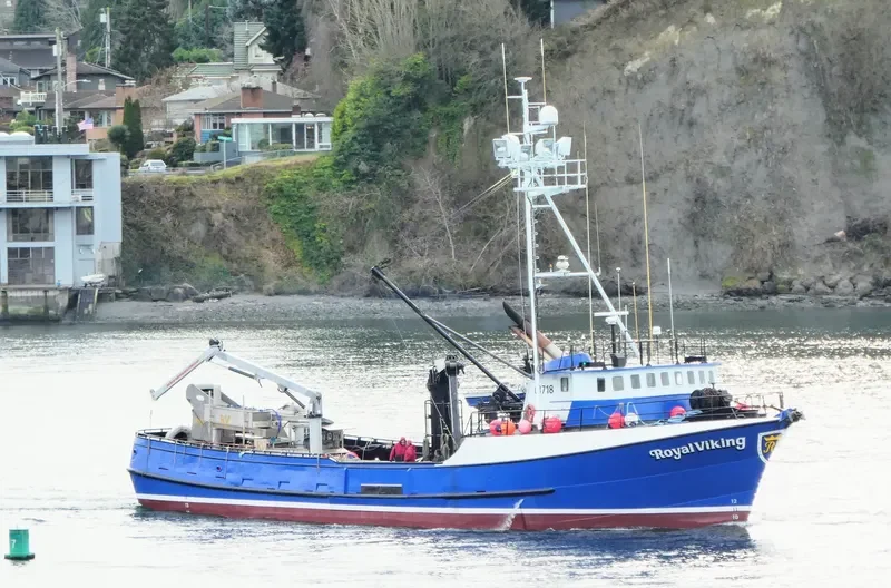 ROYAL VIKING General Cargo IMO 7232614 photo 8