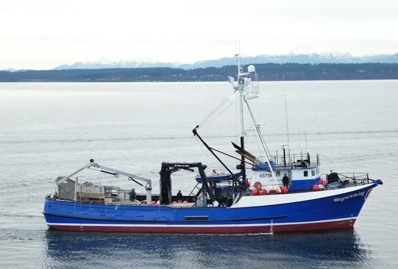 ROYAL VIKING General Cargo IMO 7232614 photo 9