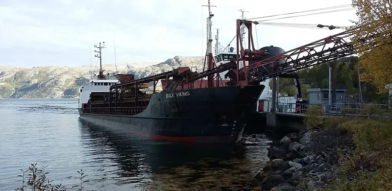 BULK VIKING General Cargo IMO 7232743 photo 5