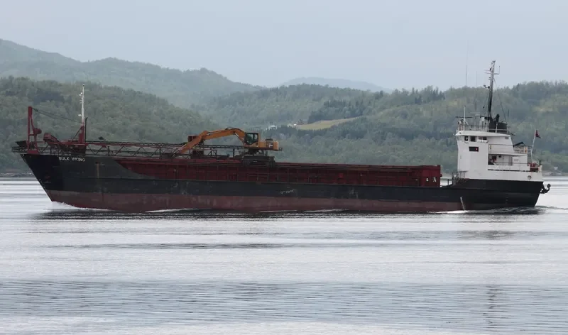 BULK VIKING General Cargo IMO 7232743 photo 6