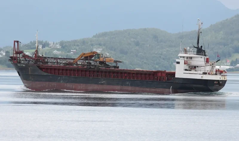BULK VIKING General Cargo IMO 7232743 photo 7