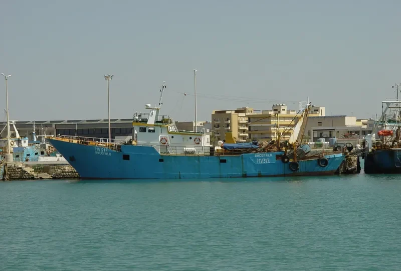 ELIOS General Cargo IMO 7233008 photo 2