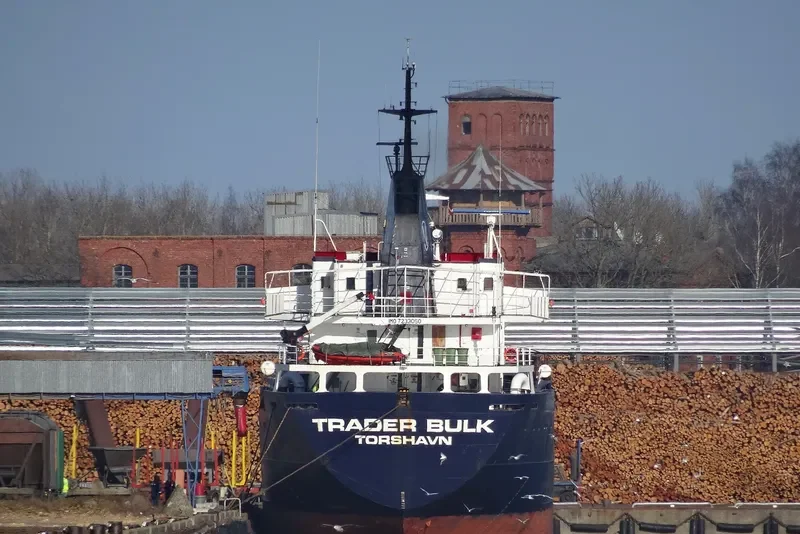 VEGA BULK General Cargo IMO 7233060