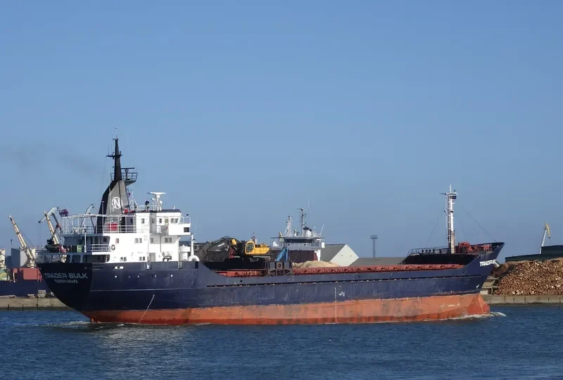 VEGA BULK General Cargo IMO 7233060 photo 2