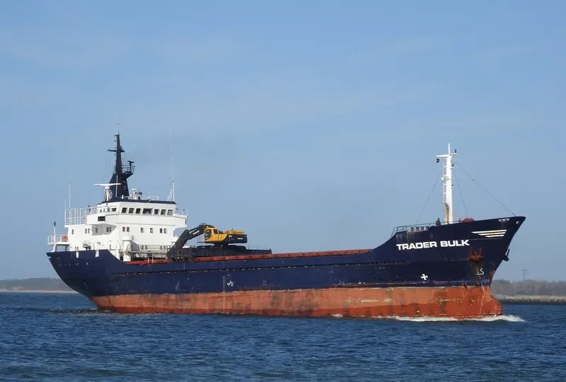 VEGA BULK General Cargo IMO 7233060 photo 3