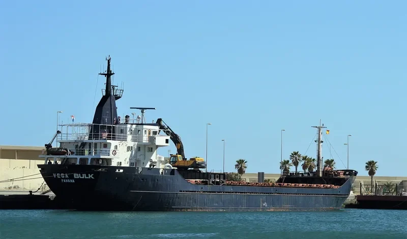 VEGA BULK General Cargo IMO 7233060 photo 4