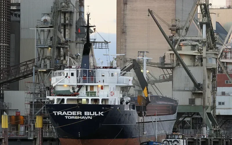 VEGA BULK General Cargo IMO 7233060 photo 6