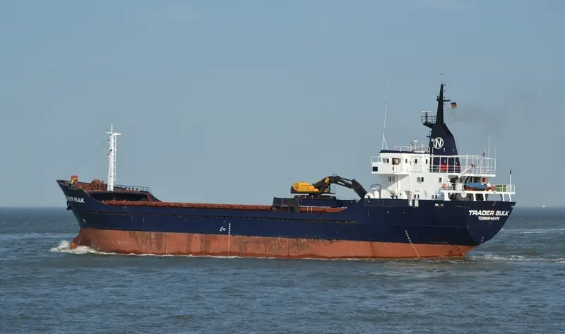 VEGA BULK General Cargo IMO 7233060 photo 8
