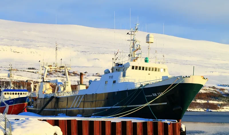 BLAENGUR General Cargo IMO 7233096 photo 3