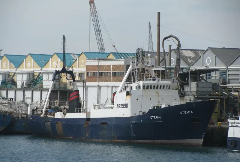 STEVIA General Cargo IMO 7233773 photo 5