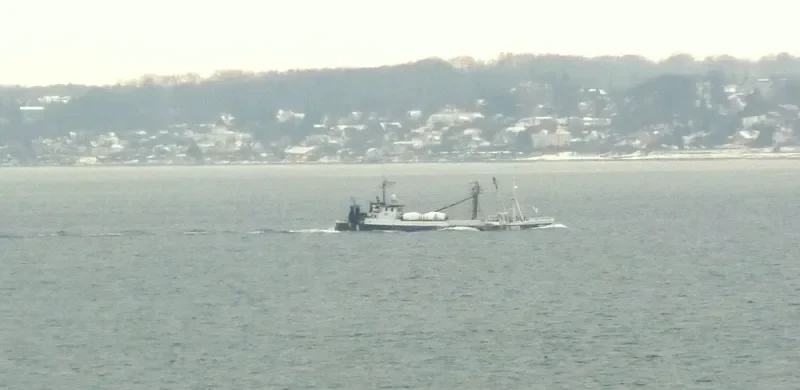 MILSO II General Cargo IMO 7234583