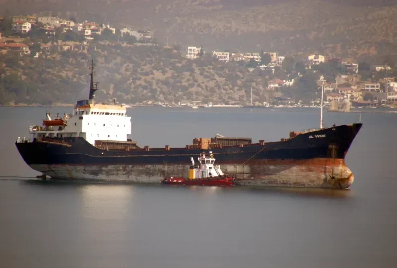 AL WADI General Cargo IMO 7234882