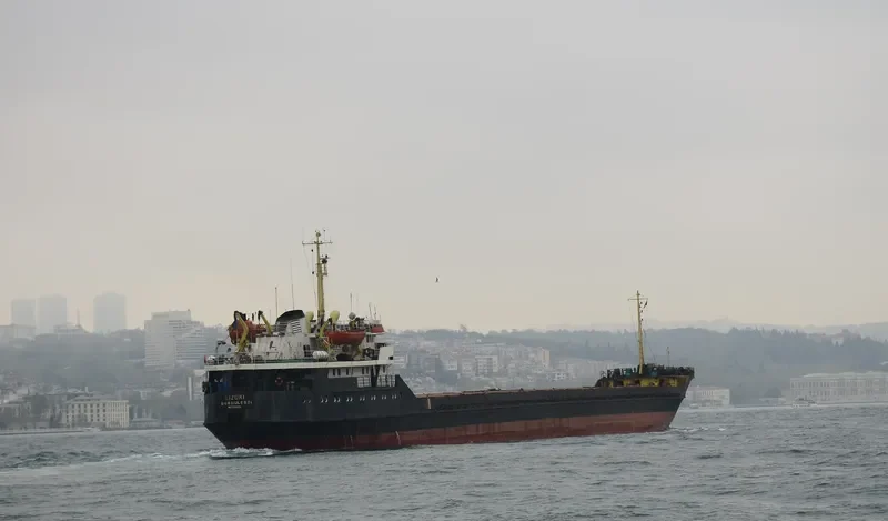 LIZORI General Cargo IMO 7235070 photo 9