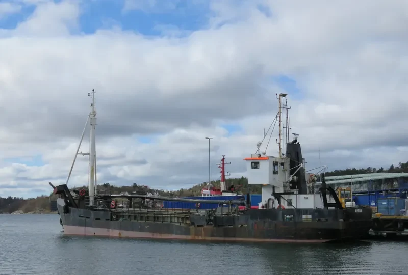 ARENA General Cargo IMO 7235549 photo 3