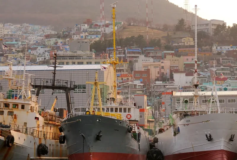 FABIAN General Cargo IMO 7236684