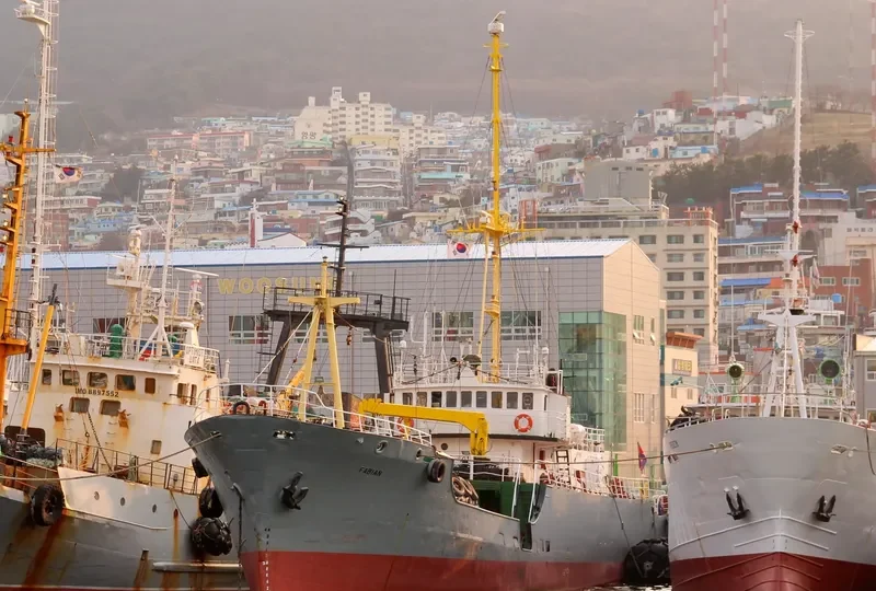 FABIAN General Cargo IMO 7236684 photo 2