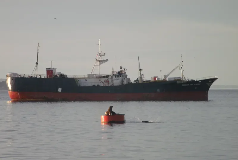 TIERRA DEL FUEGO General Cargo IMO 7236799 photo 2