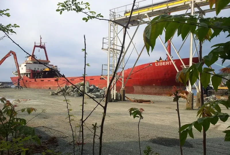 LIBERTY General Cargo IMO 7237236 photo 2