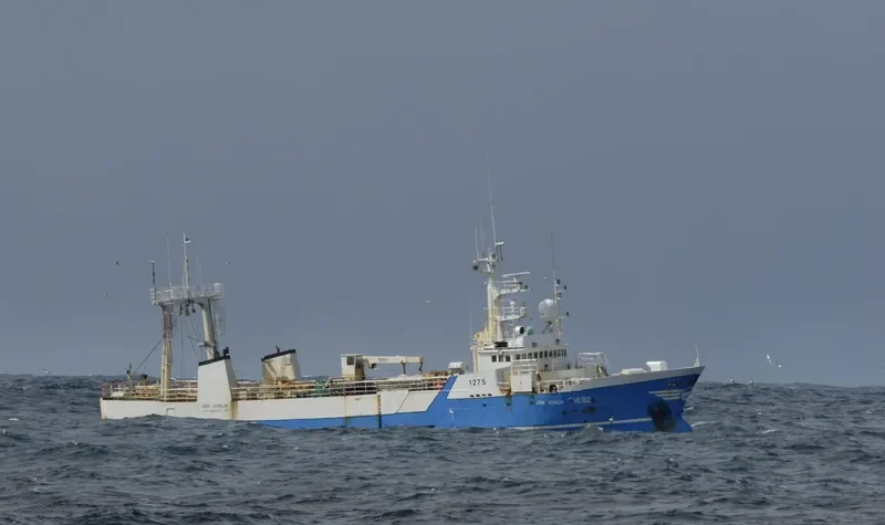 TAIKO MARU NO 58 General Cargo IMO 7300722 photo 2