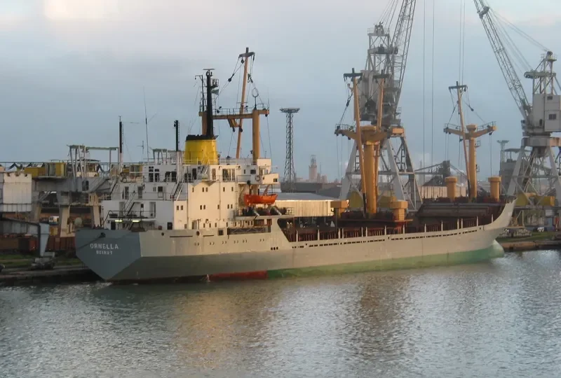 RAFI General Cargo IMO 7300899