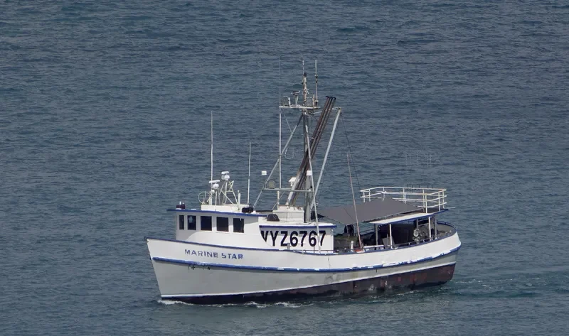 MARINE STAR General Cargo IMO 7301570