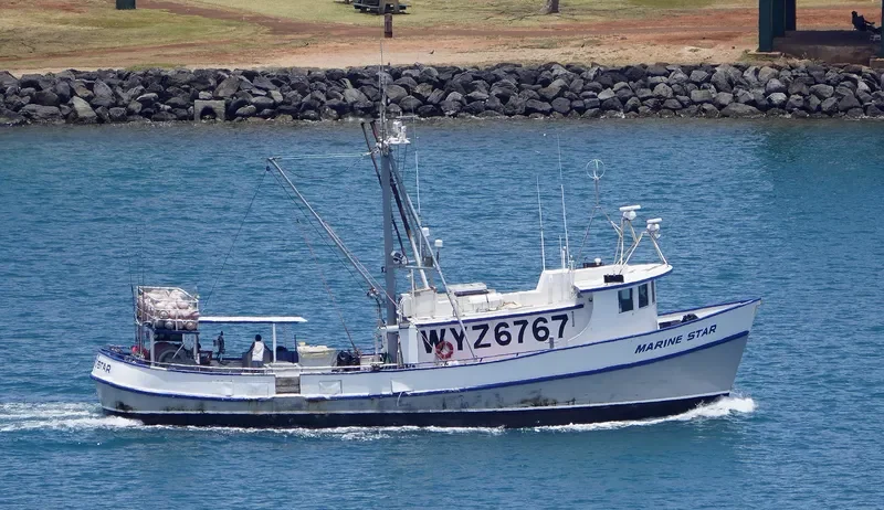 MARINE STAR General Cargo IMO 7301570 photo 2