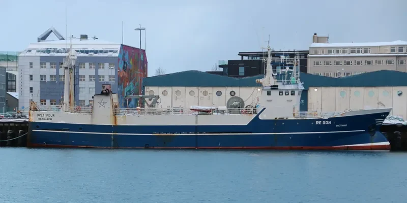 BRETTINGUR General Cargo IMO 7302392