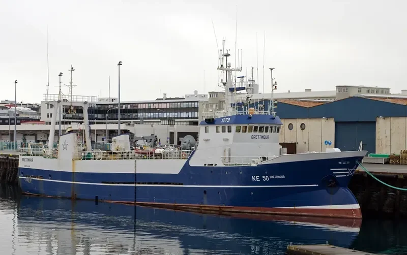 BRETTINGUR General Cargo IMO 7302392 photo 4