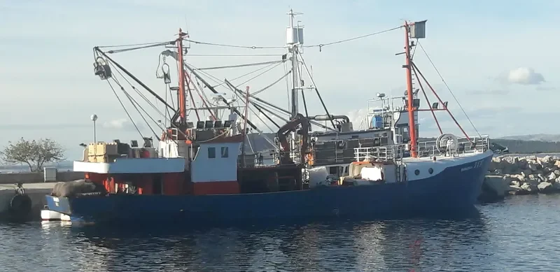 MARINERO II General Cargo IMO 7302847