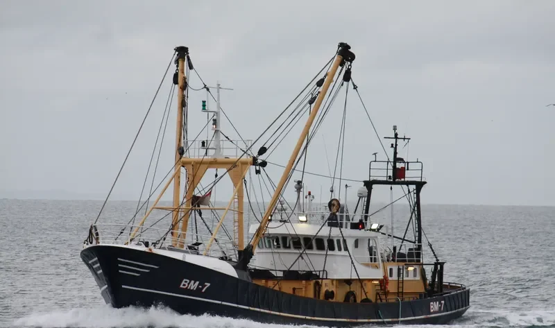 MARTINE General Cargo IMO 7303126 photo 5