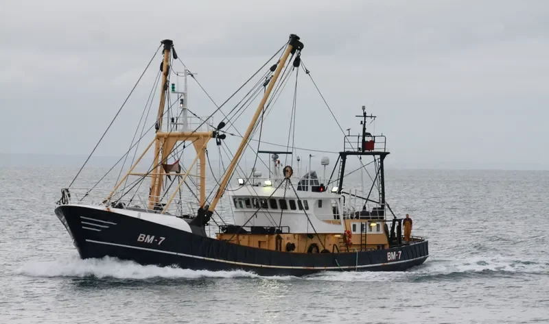 MARTINE General Cargo IMO 7303126 photo 6