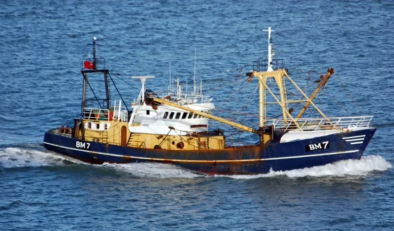 MARTINE General Cargo IMO 7303126 photo 7