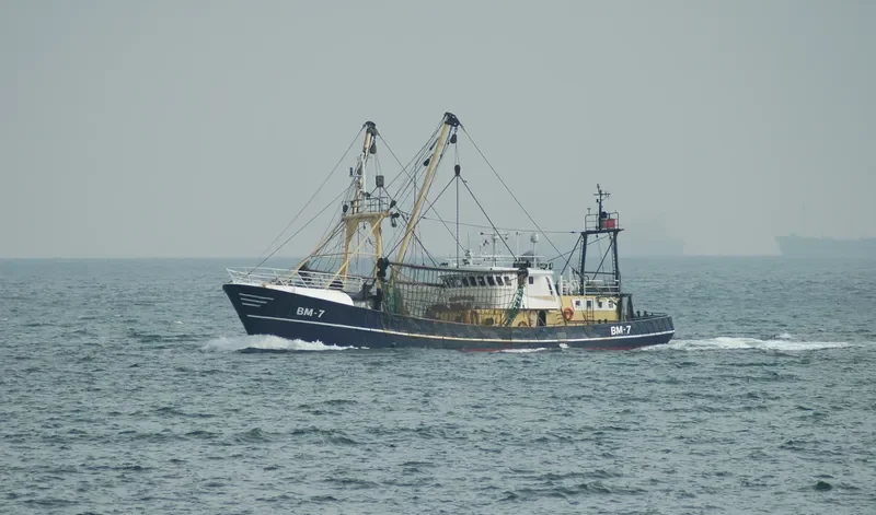 MARTINE General Cargo IMO 7303126 photo 9