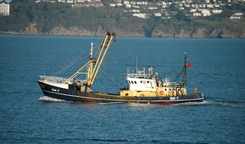 MARTINE General Cargo IMO 7303126 photo 10