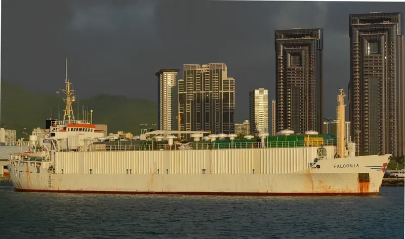 DRAGON General Cargo IMO 7303231 photo 2
