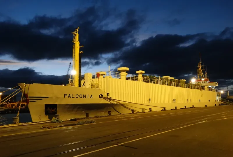 DRAGON General Cargo IMO 7303231 photo 6