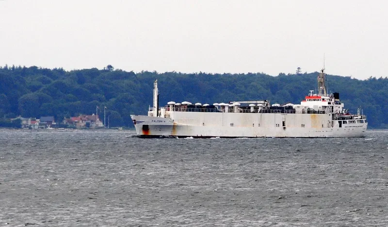 DRAGON General Cargo IMO 7303231 photo 7