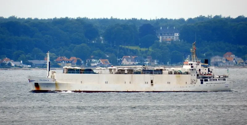 DRAGON General Cargo IMO 7303231 photo 8